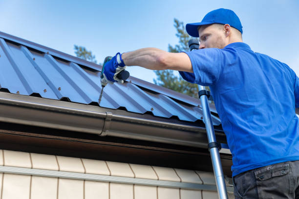 Best Steel Roofing  in Apollo Beach, FL