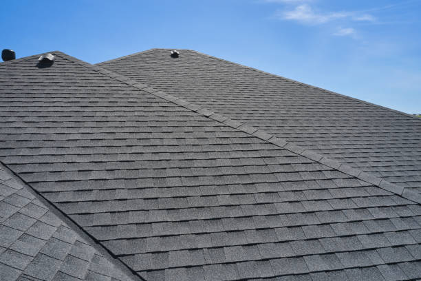 Best Wood Shake Roofing  in Apollo Beach, FL
